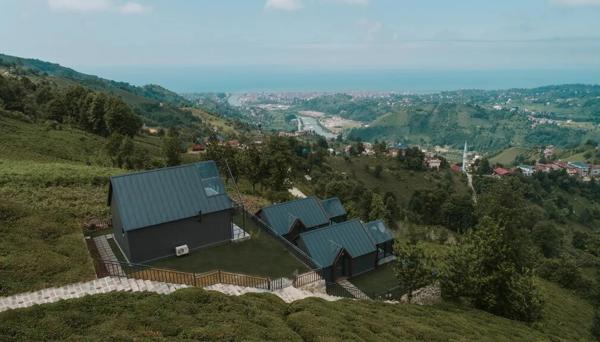 Wood Life Bungalow