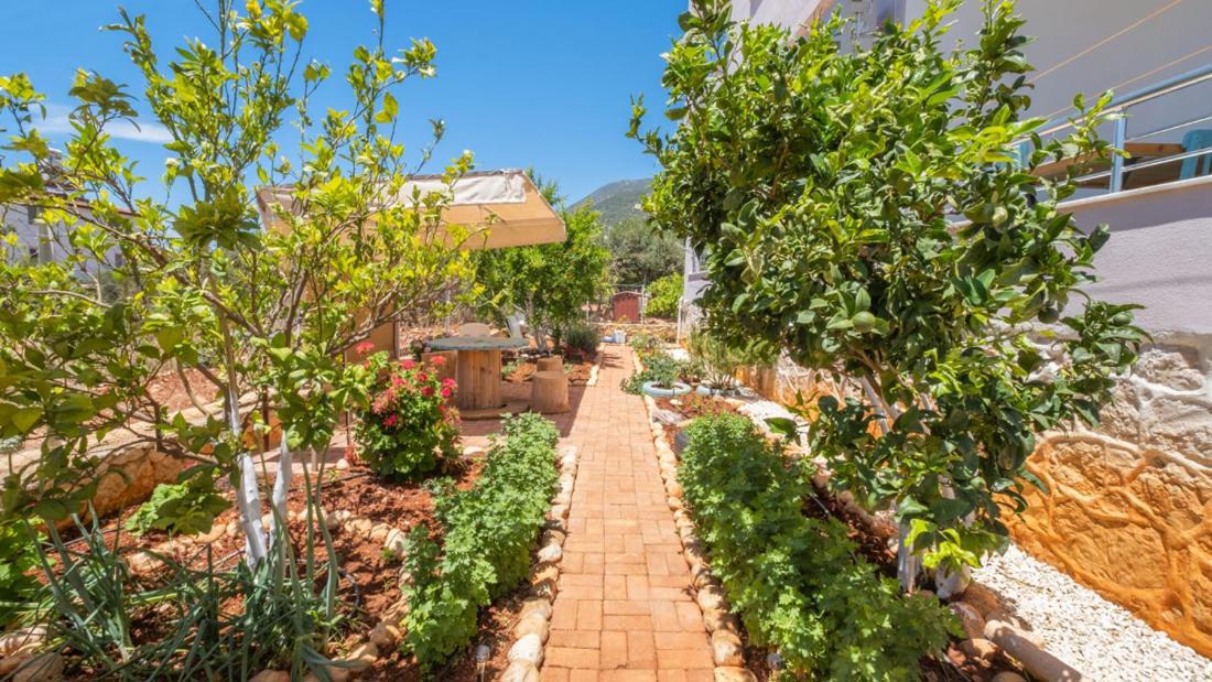 Kaş Kekik Apart