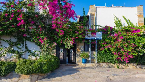 Cotton Boutique Hotel