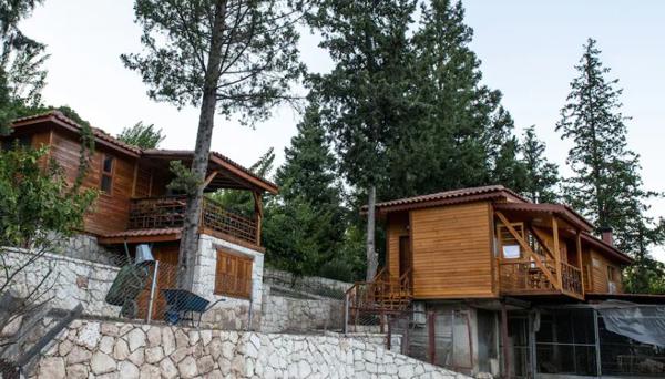 Trinitys Forest Bungalows