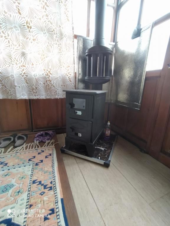 Torrhebia Dag Evi