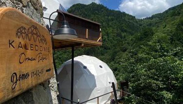 Kale Dome Orman Evleri