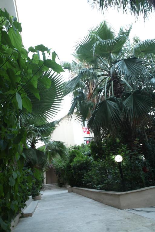 Akasia Resort