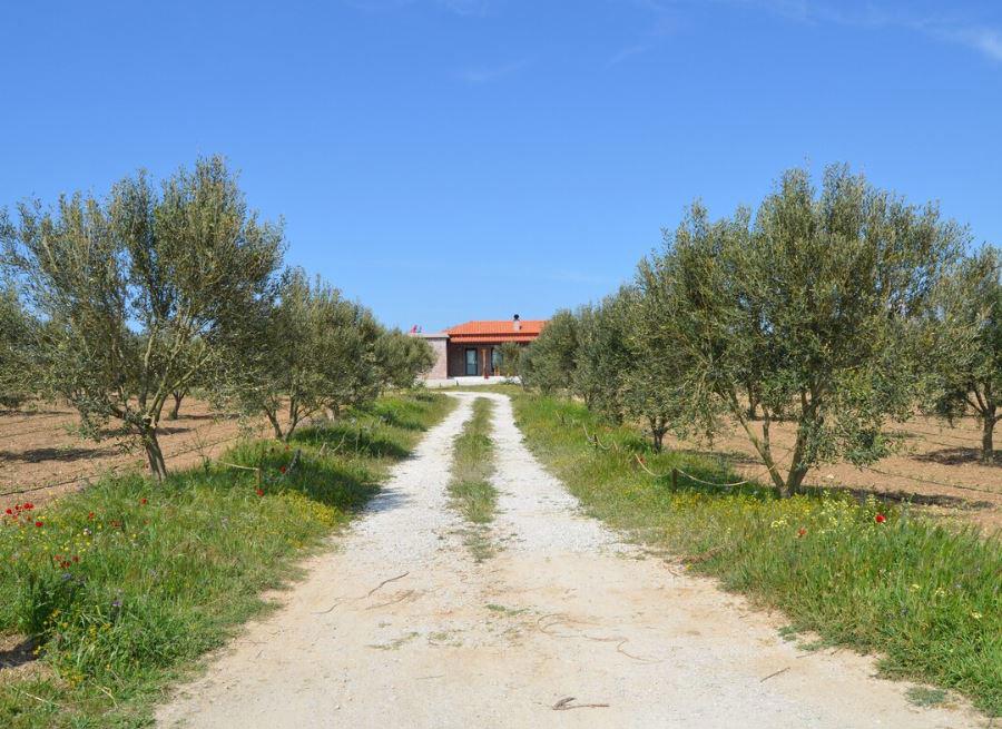 Le Petit Hotel Ve Bag Evi