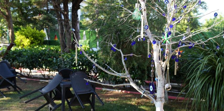 Butterfly Boutique Hotel Ağva