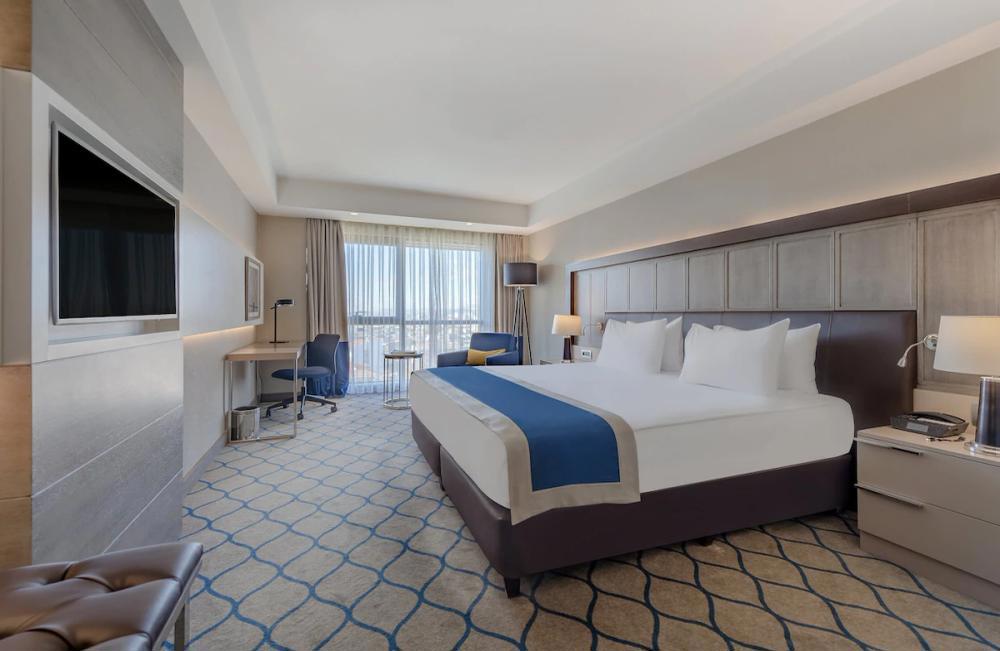 Holiday Inn Kayseri - Düvenönü