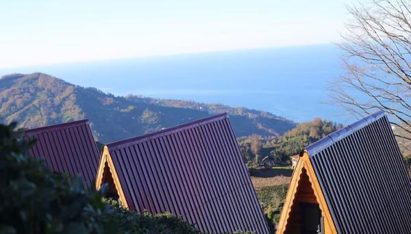 Pagen Bungalov