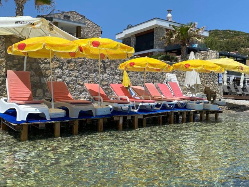Palmiye Karaburun