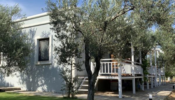 Zeytinli Bahçe Konuk Evi