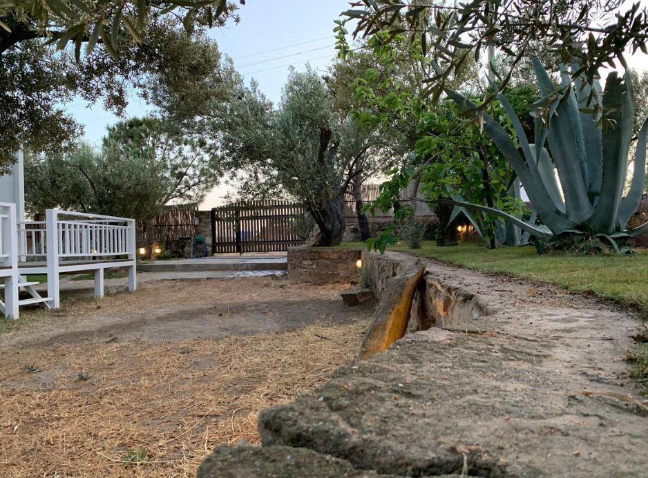 Zeytinli Bahçe Konuk Evi