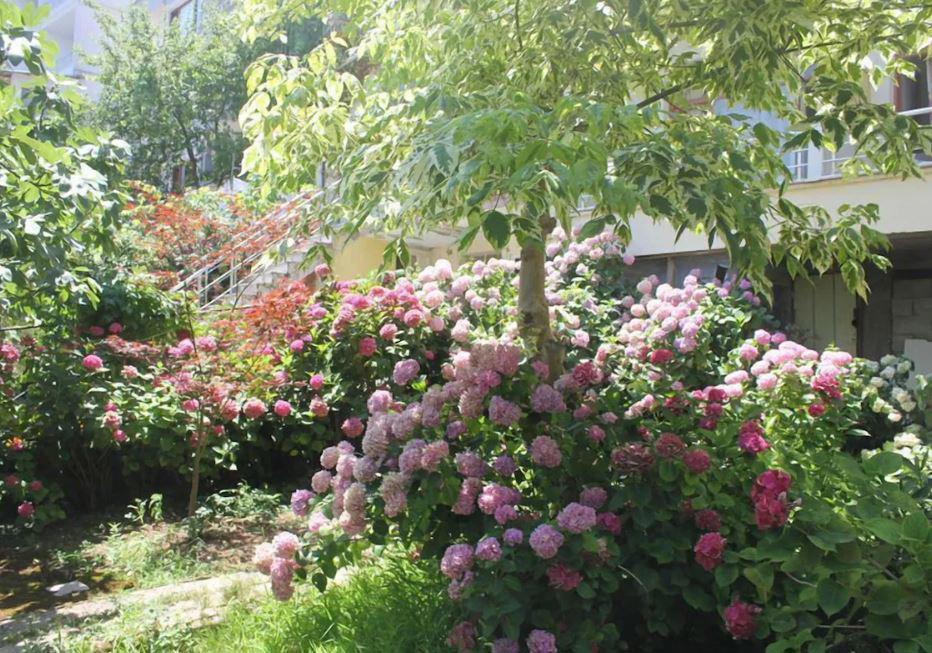 Termal Orkide Pansiyon