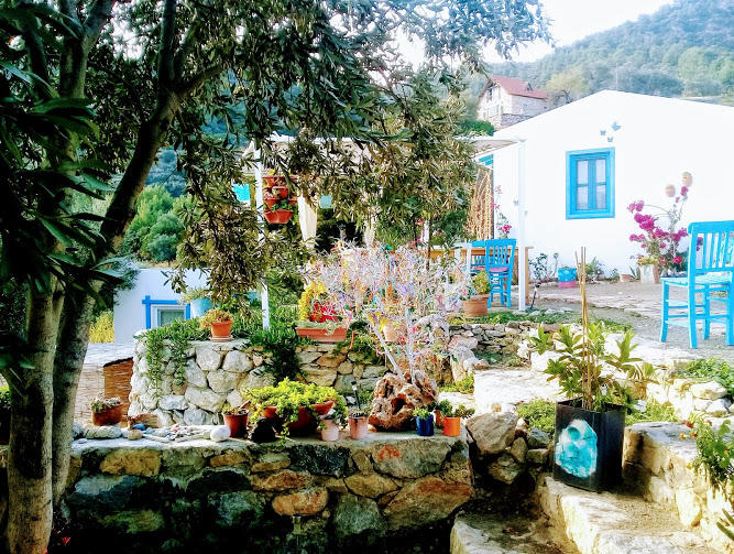 Mavi Kelebek Datça