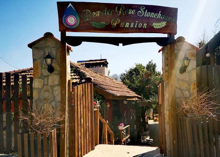 Demeter Rose Stonehouse Pansion