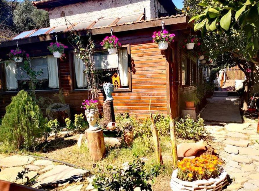 Demeter Rose Stonehouse Pansion