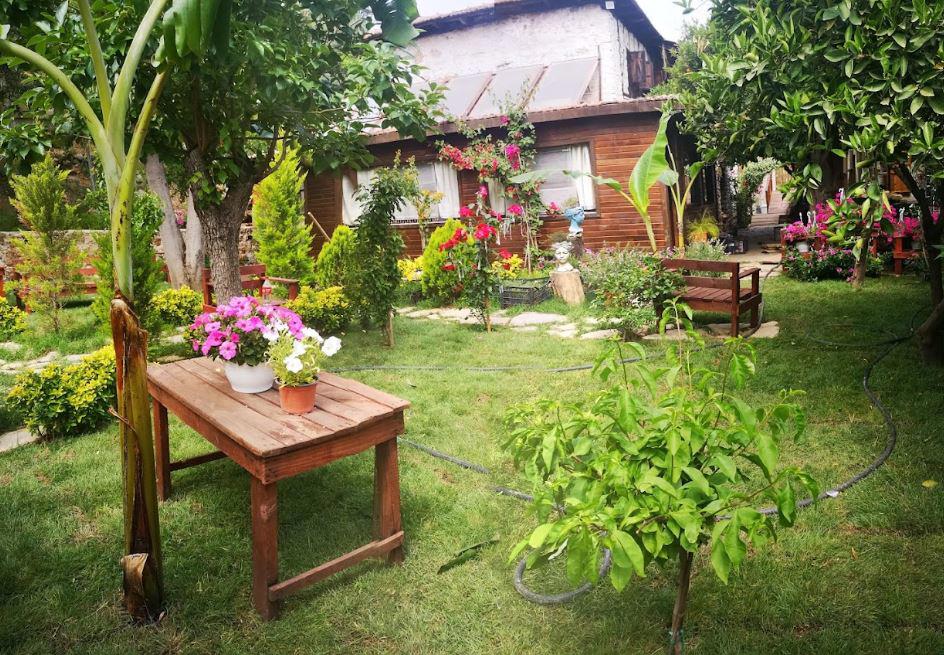 Demeter Rose Stonehouse Pansion