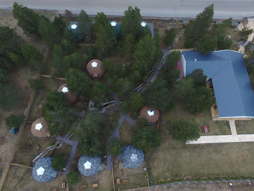 Lepista Garden