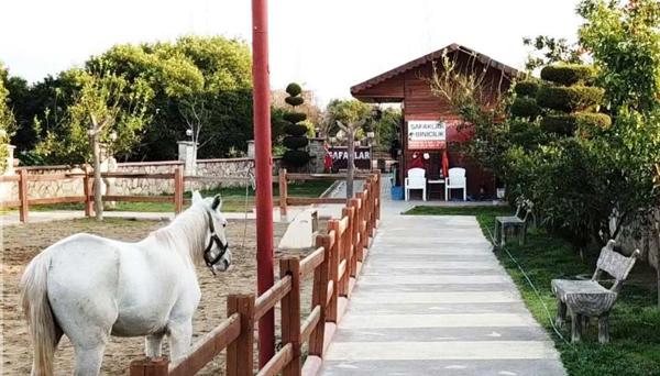 Safaklar Otel & Numune
