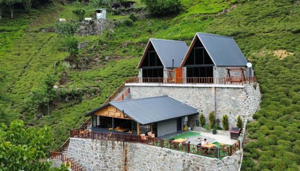 Mapi Bungalov