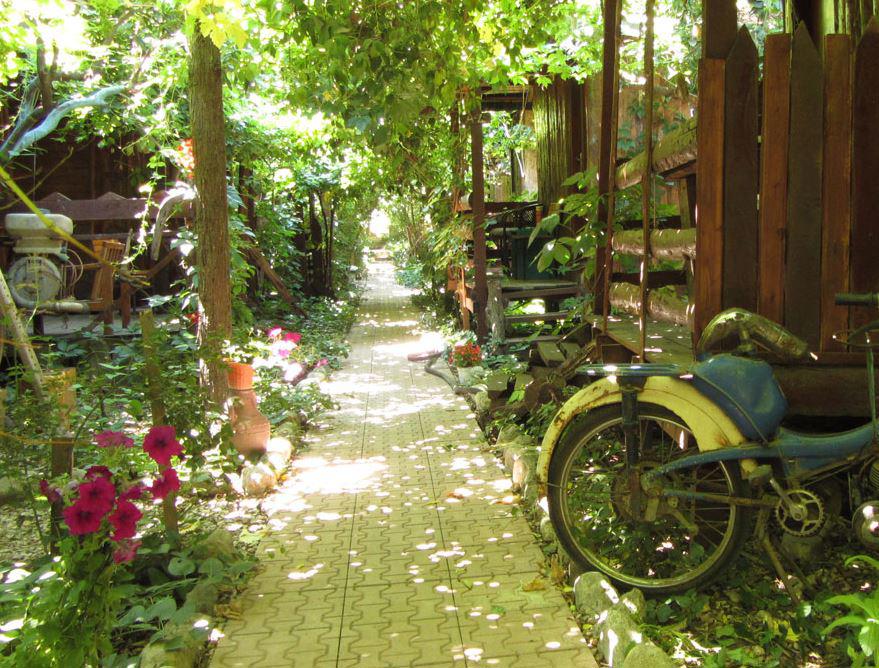 Olympos Natural Pansiyon