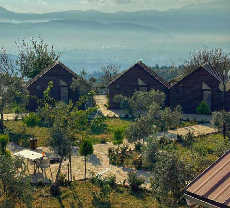 Luna Home Club