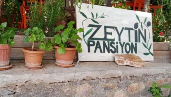 Zeytin Suit Bozcaada
