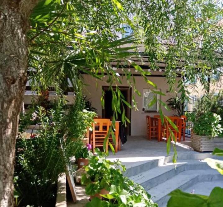 Zeytin Suit Bozcaada