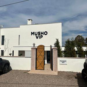 Musho Vip (+12 Yaş)