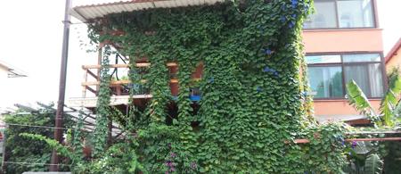 İzmir Tatil Evi