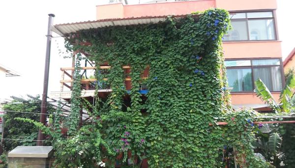 İzmir Tatil Evi