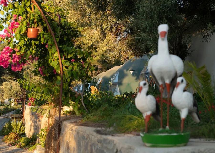 Lusso Glamping