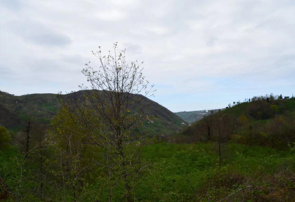 Bigoşa Bungalov