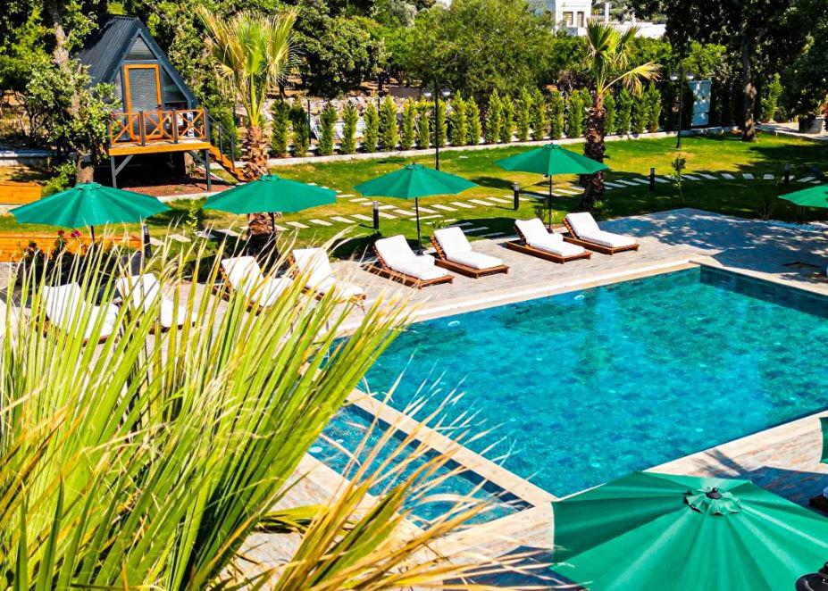 Elasu Bodrum