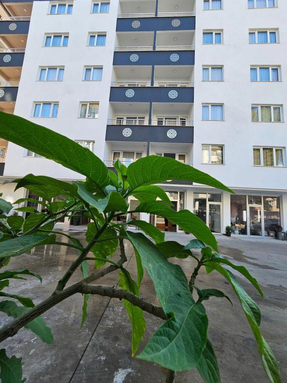 Trabzon Golden Homes Luxury Suites