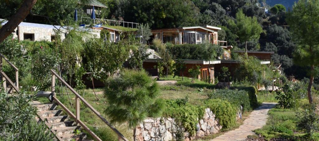 Kabak Avalon Bungalows +16