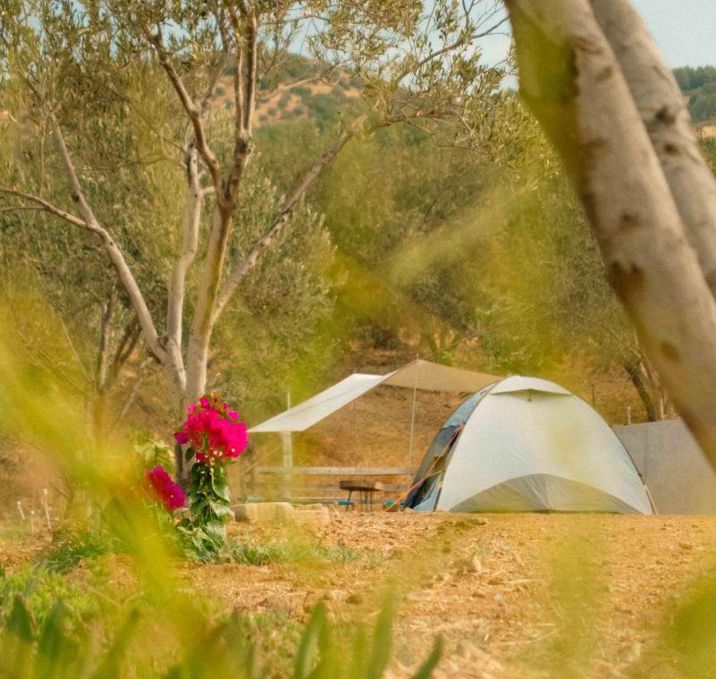 Oli Camping & Bungalows