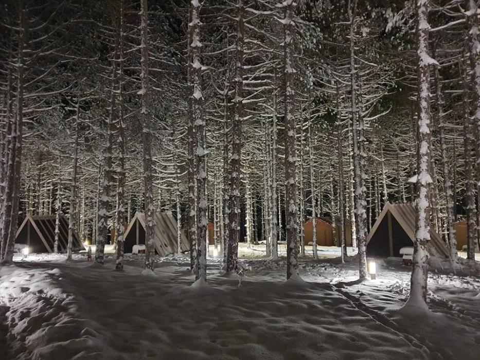 Longosphere Glamping