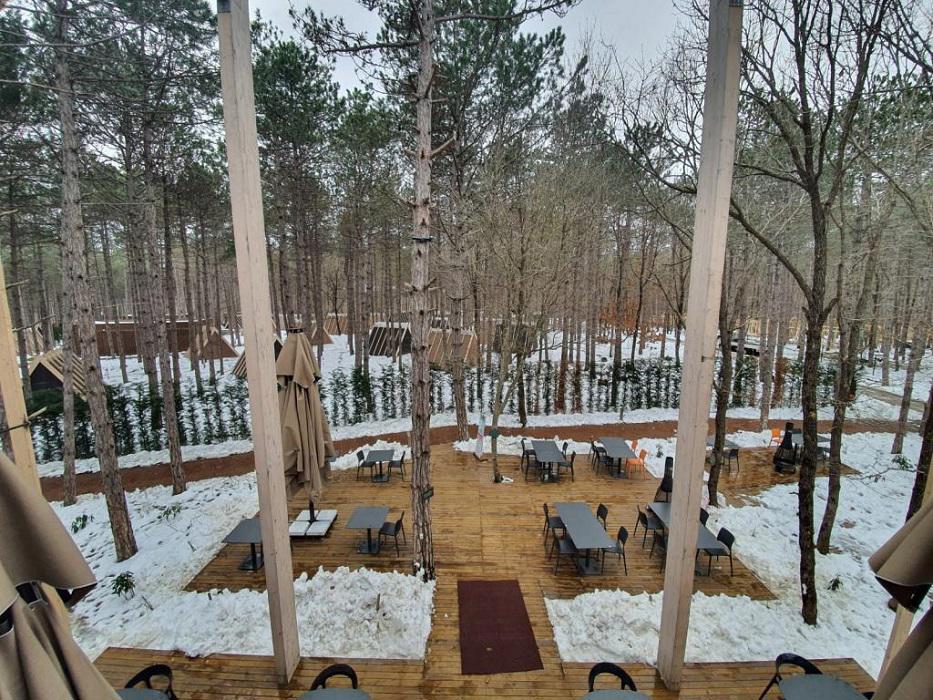 Longosphere Glamping