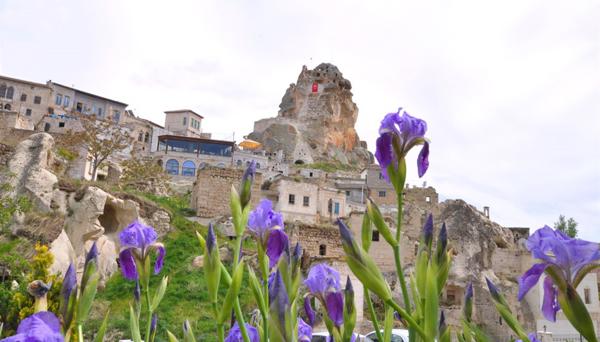 Dreams Cave Hotel
