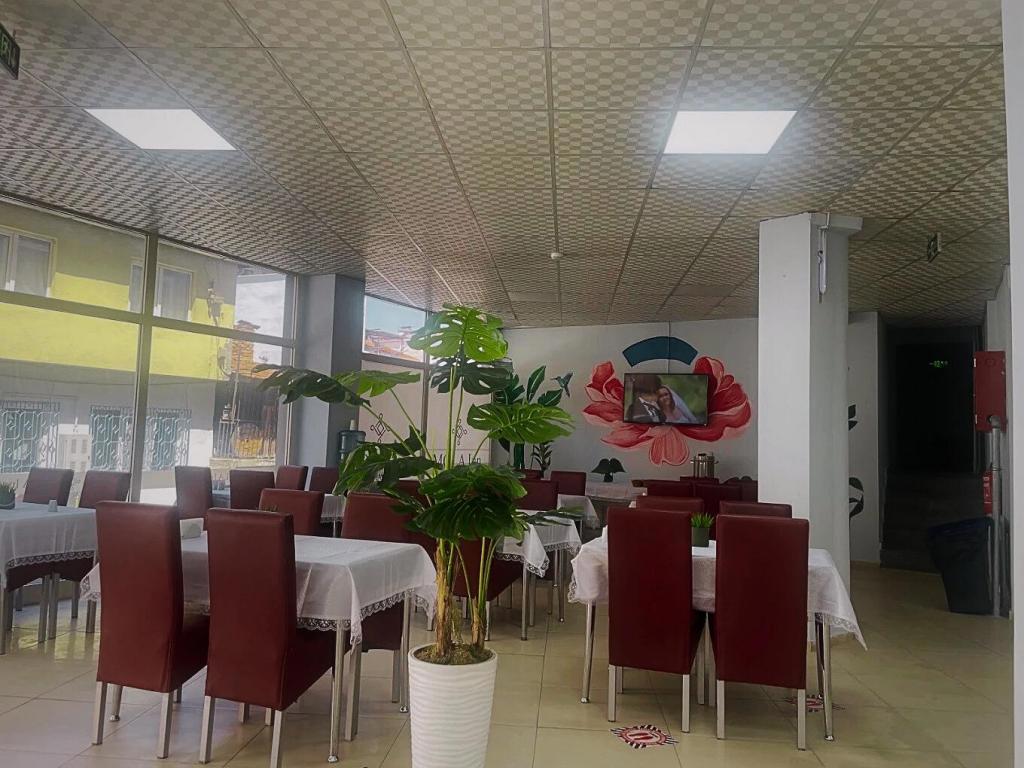 Mola Inn Uşak