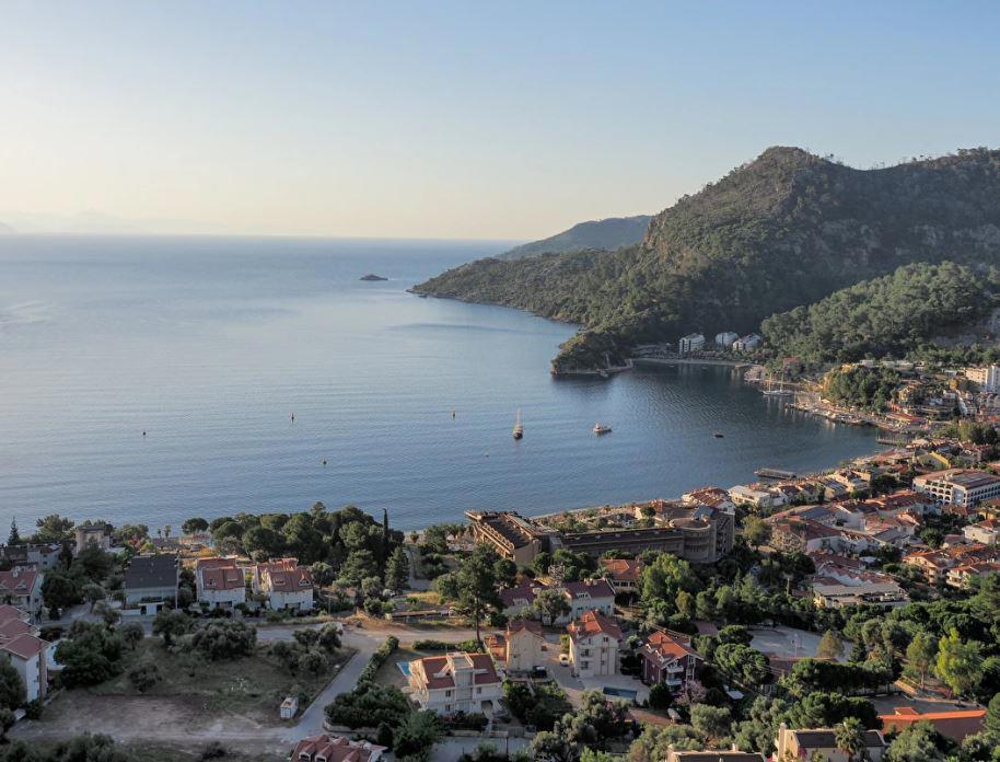 Oliva Mare