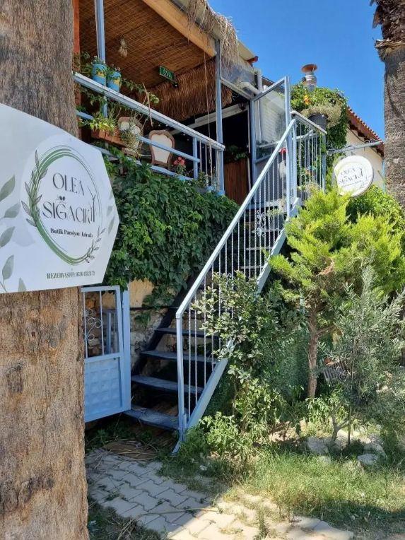 Olea Sığacık Pansiyon & Bistro