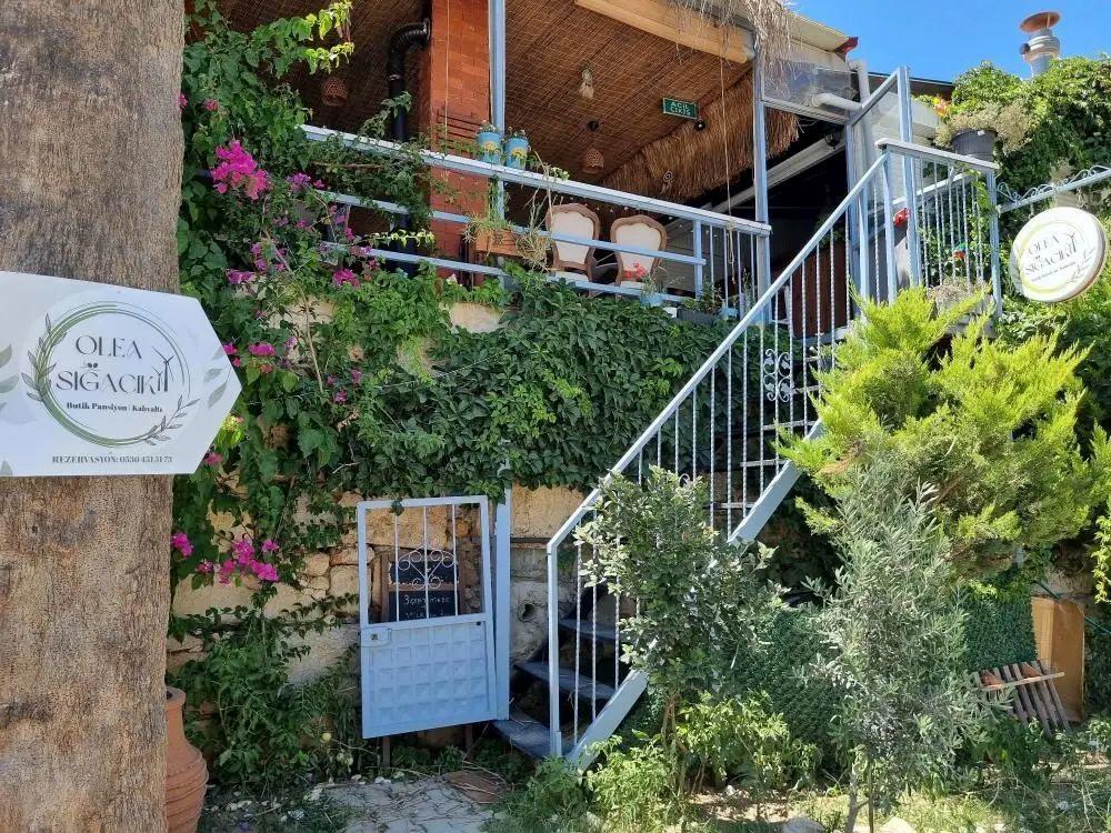 Olea Sığacık Pansiyon & Bistro