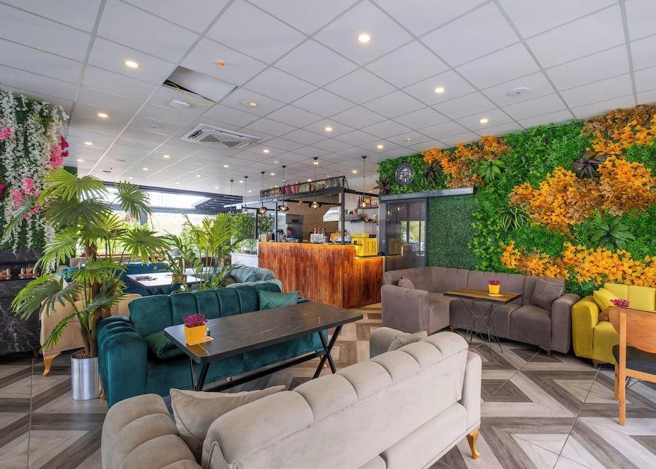 216 Star Suite