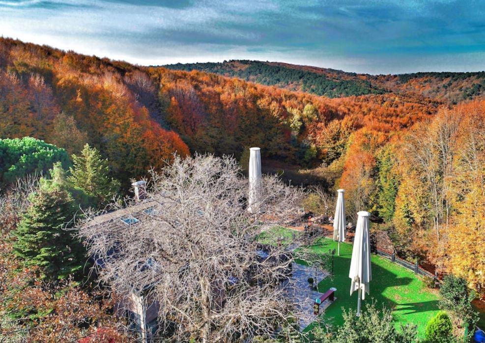 Villa Polonez Butik Otel