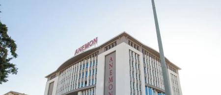 Anemon Malatya