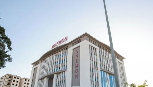 Anemon Malatya