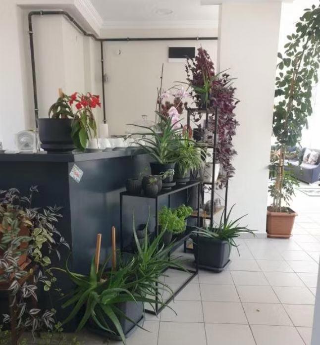 Maritsa Comfort Plus