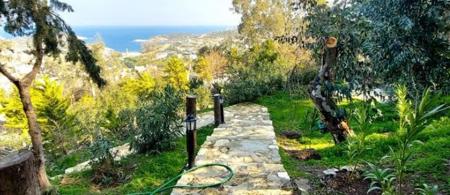 Sole Foça