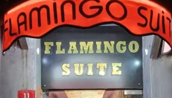 Flamingo Suit