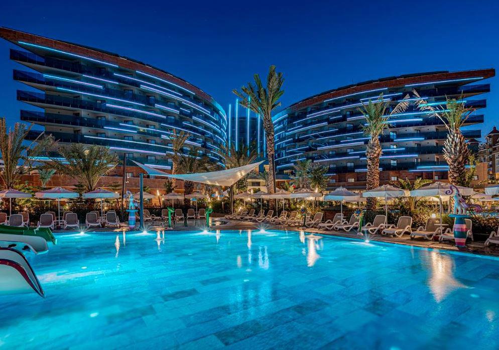 Calyptus Kirman Premium